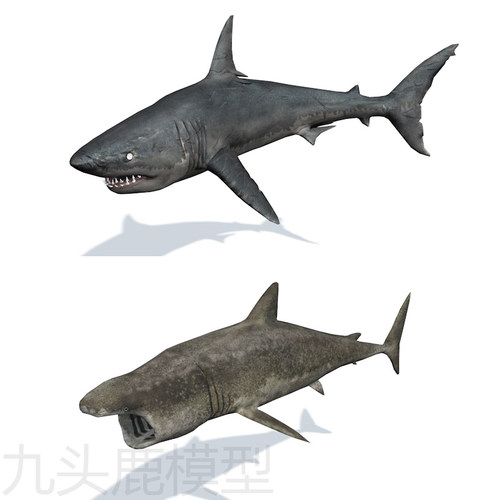10个三维海洋鱼类动物模型素材源件带贴图maya/3Dmax/c4d/blender