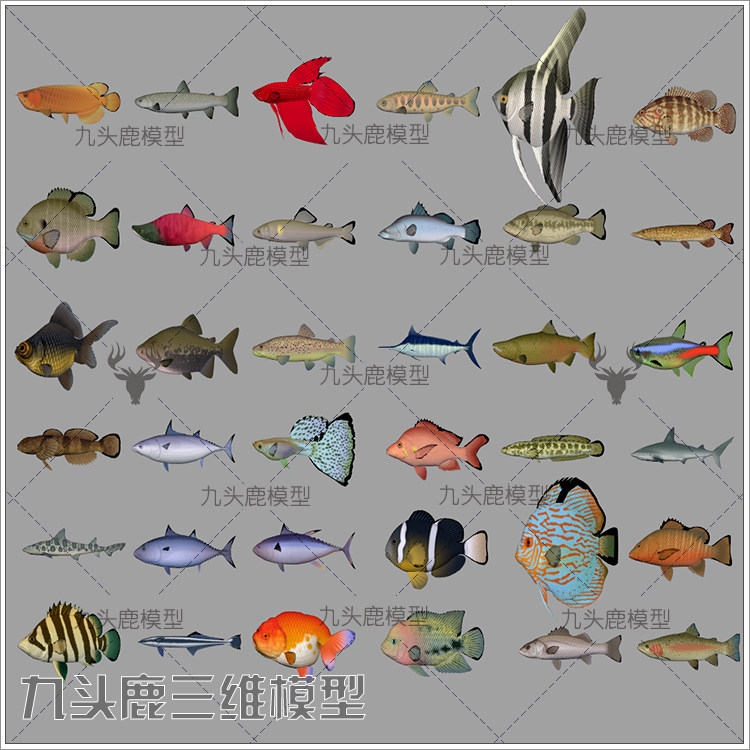 maya 3Dmax c4d blend ue4三维写实36条海洋水族鱼模型素材源文件