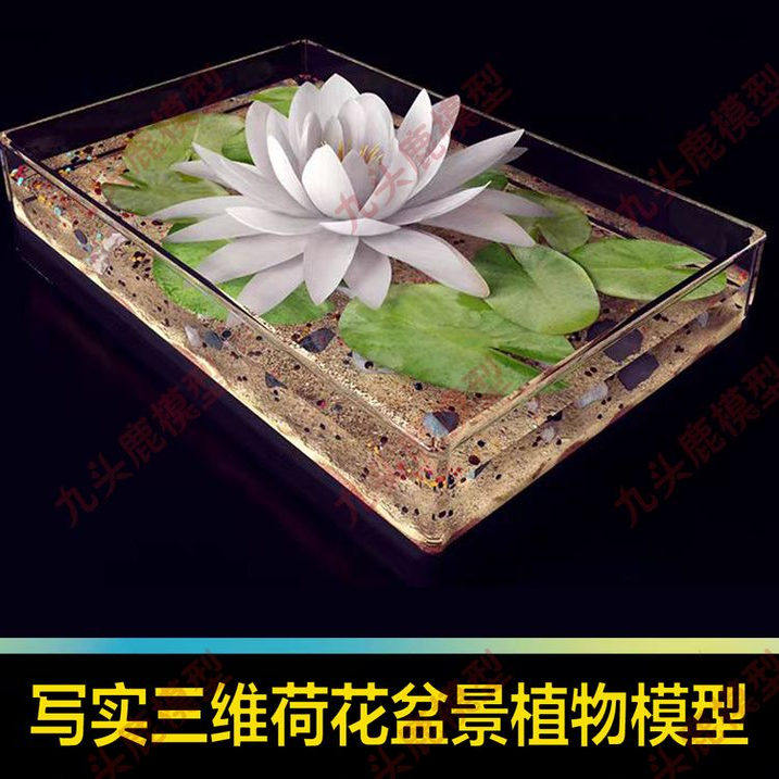 写实盆景荷花荷叶植物动画设计三维游戏场景3DMax模型素材源文件