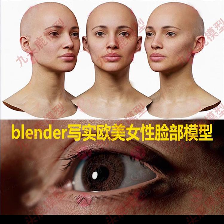 blender写实欧美女性脸部皮肤五官模型zbrush人脸扫描3d建模模型