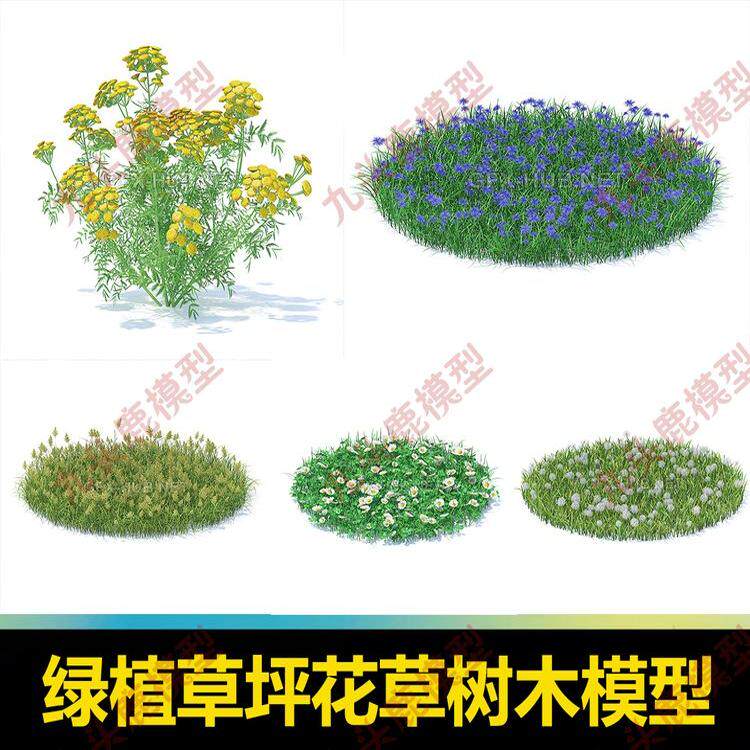 3d c4d max 绿植物草丛花朵树木菊花三维模型库素材带贴图\详情
