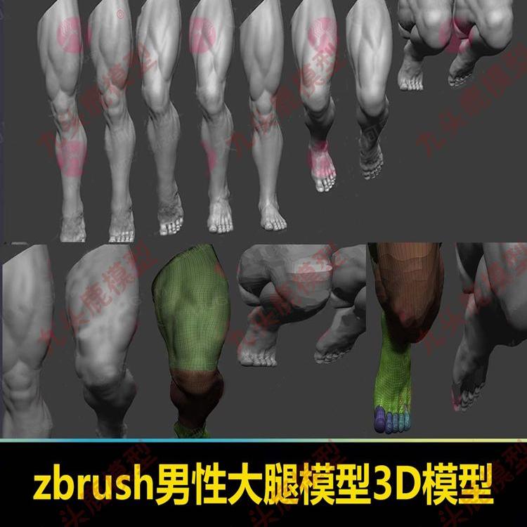 zbrush男性大腿模型ztl模型zb人体器官肌肉腿部模型大腿OBJ白模