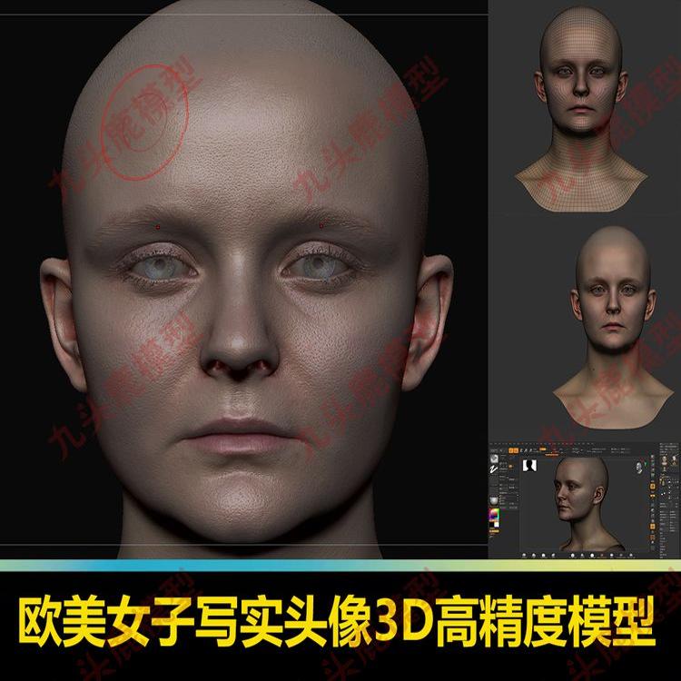 Zbrush影视级欧美女子写实头像3d三维模型 ZTL OBJ 高精度角色
