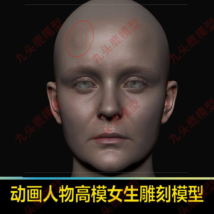 三维高清游戏动画人物高模女生Zbrush雕刻模型源文件头像带细分