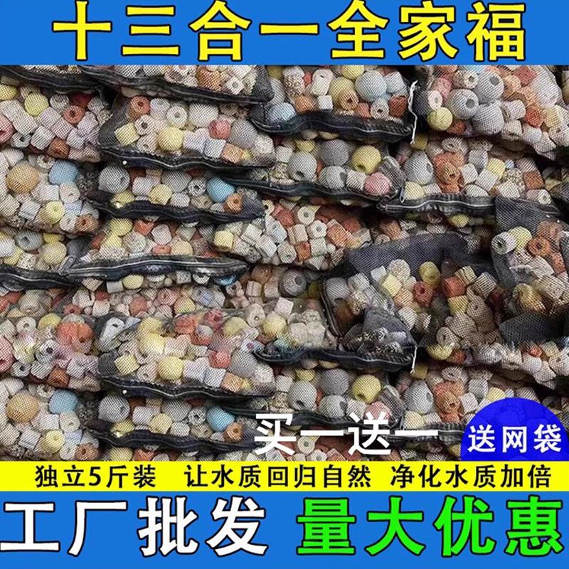 鱼池过滤材料鱼缸珊瑚骨火山石陶瓷环细菌屋活性炭生化球全套滤材