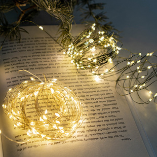 Hromeo 圣诞装饰遥控圣诞树灯串绿色铜线灯节日装饰布置灯串