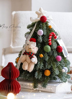 Hromeo 圣诞节装饰2025新款仿真诺贝松小圣诞树桌面氛围布置摆件