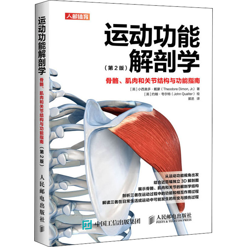 运动功能解剖学 骨骼、肌肉和关节结构与功能指南(第2版) (英)小西奥多·戴蒙 著 郭丞 译 (英)约翰·夸尔特 绘 体育运动(新)文教