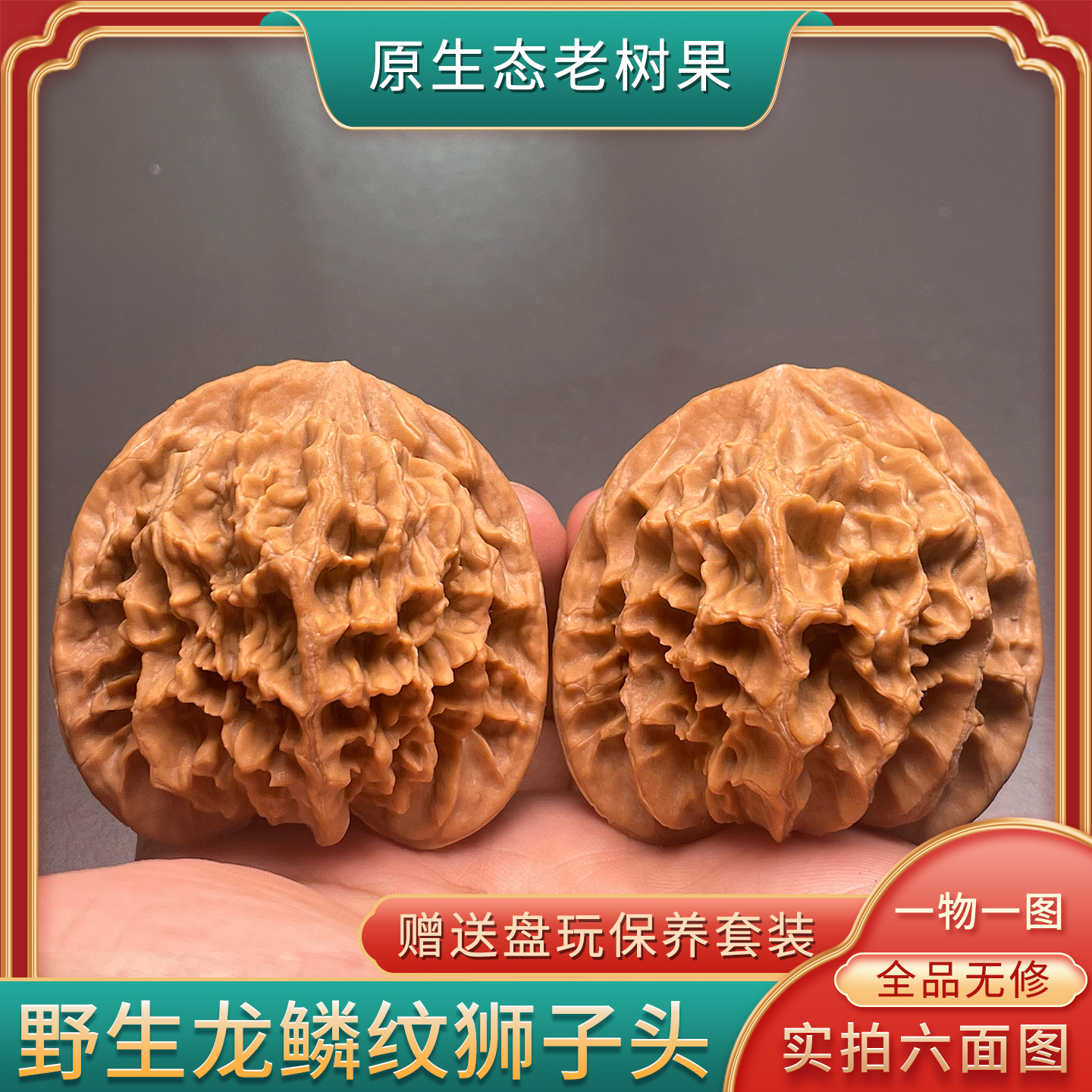 一物一图文玩核桃野生太行龙纹狮子头珊瑚纹全品无修精品高端把件