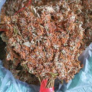 云南特产黄花饭新鲜野生密蒙花黄色糯米饭染饭花黄饭花染料花米饭