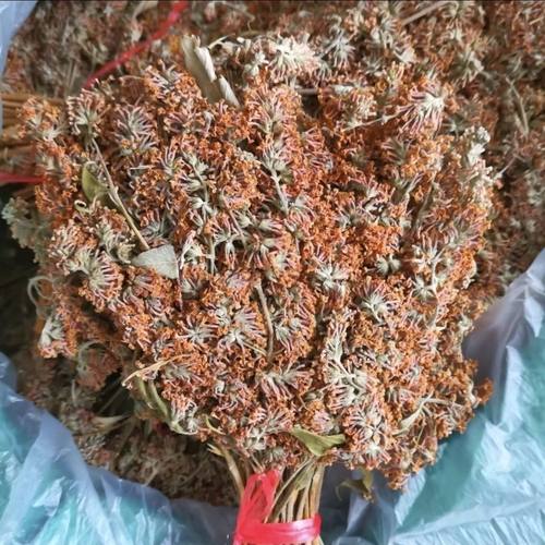 云南特产黄花饭新鲜密蒙花