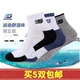 加厚纯棉袜子 正品 专业乒乓球运动袜 男女款 球袜 德国阳光SUNFLEX