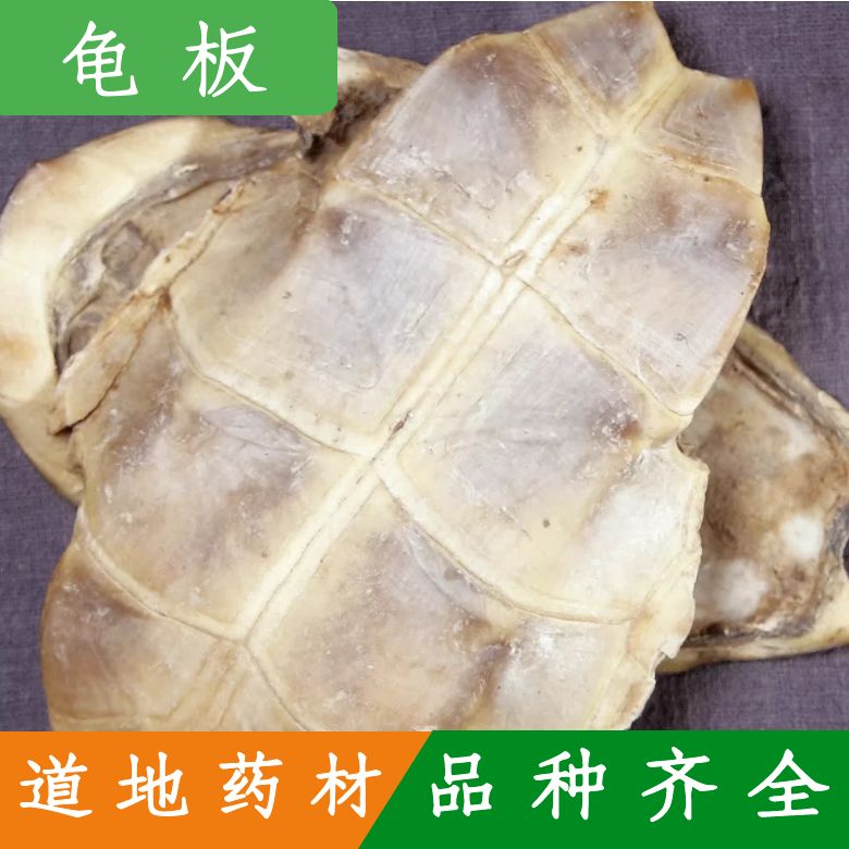 龟板中药材用外塘草龟生龟板龟腹甲龟苓膏药引500克干货煮汤包邮