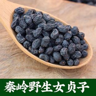 秦岭山野生女贞子冬季 精选野生女贞子茶中药材 黑女贞子药材正品