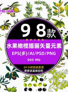 手绘绿色水果橄榄果子写实插画eps矢量ai设计png免扣素材图库下载