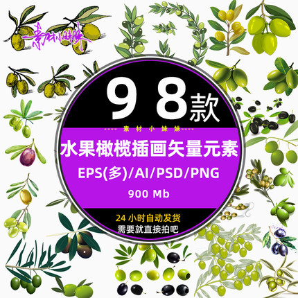 手绘绿色水果橄榄果子写实插画eps矢量ai设计png免扣素材图库下载