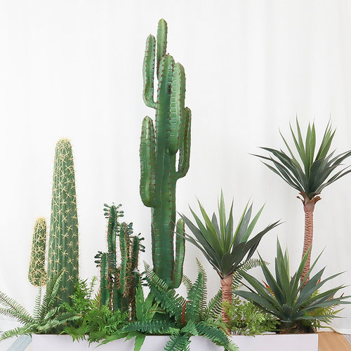 仿真植物套装仙人掌装饰摆件盆景
