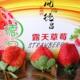 大凉山德昌露天草莓新鲜现摘现发草莓凉山 索玛花开特产店