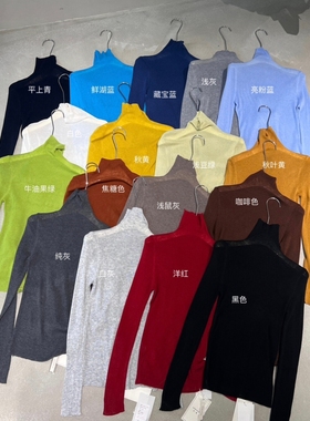 BEFORE SUNSET 日落 十三行秋冬休闲百搭高领针织羊毛打底上衣女