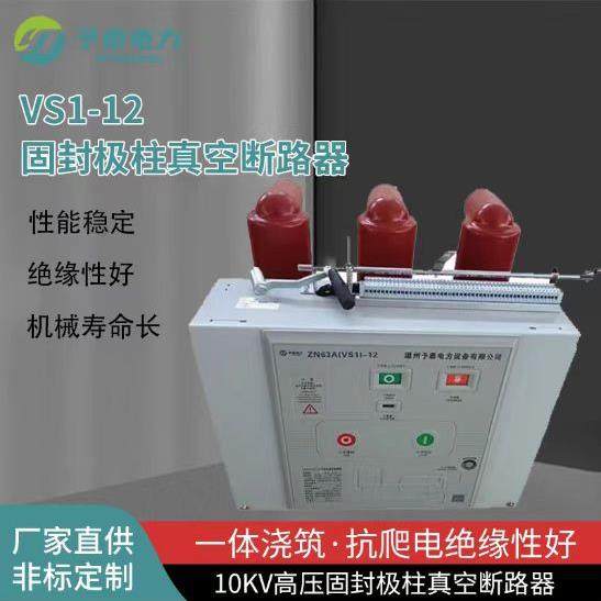 VS1-12/2500-31.5高压户内真空断路器10KV柜内开关固定价格