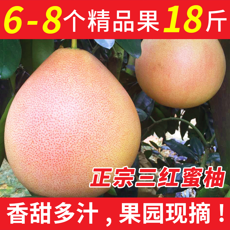 福建平和三红蜜柚正宗琯溪三红柚超甜漳州馆红肉水果红心柚子新鲜