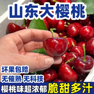 山东大樱桃美早 3斤车厘子国产露天应季水果包邮当季新鲜孕妇批发