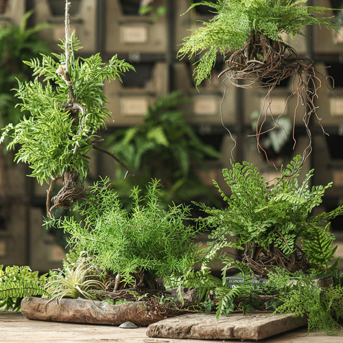 团子藤松蕨叶造景布置仿真植物