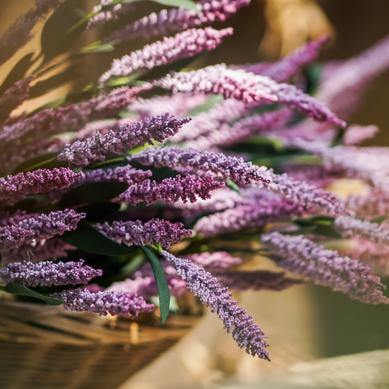 左岸麦田塞南勿忘我插花薰衣草