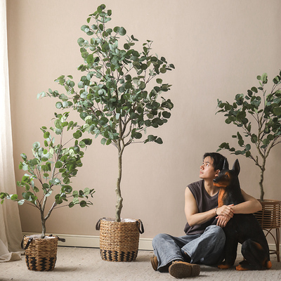 仿真尤加利树仿真树绿植造景装饰假树大型植物盆栽室内客厅落地