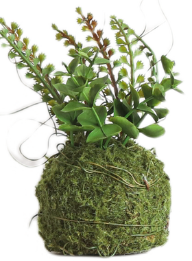 小草球左岸麦田苔藓塑料泡沫