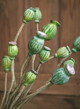 艾伊娜复古新中式仿真花虞美人果禅意摆件假花绿色果子装饰干花