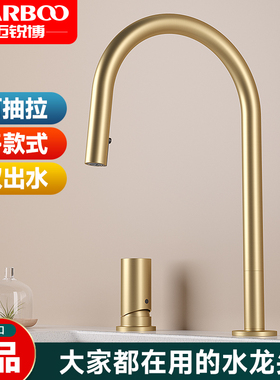 迈锐博水龙头冷热全铜金色复古欧式洗菜盆水槽抽拉厨房龙头T9803