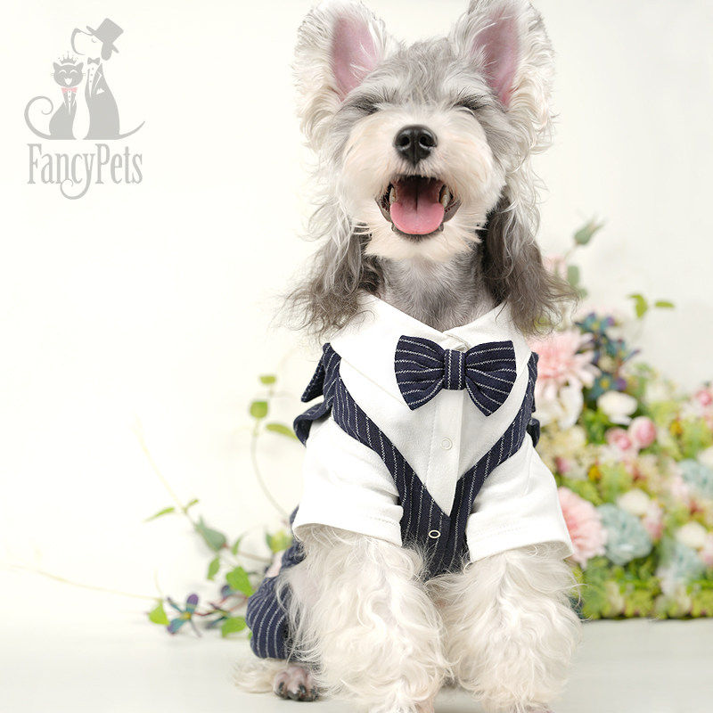 狗狗西装礼服宠物泰迪比熊博美雪纳瑞四脚衣中小犬结婚西装裤衣服