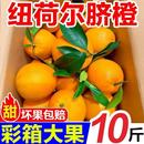 榨汁甜橙水果 中国脐橙之乡湖北秭归脐橙新鲜现摘当季 产地直发