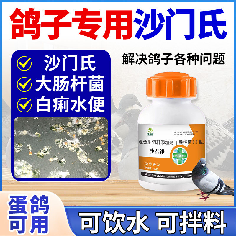 鸽药沙门氏菌专用正品特效大肠杆菌绿便糊肛翅膀下垂鸽子用品大全,畜牧/养殖物资,饲料添加剂,淘宝优惠券,粉丝福利购,淘宝优惠卷