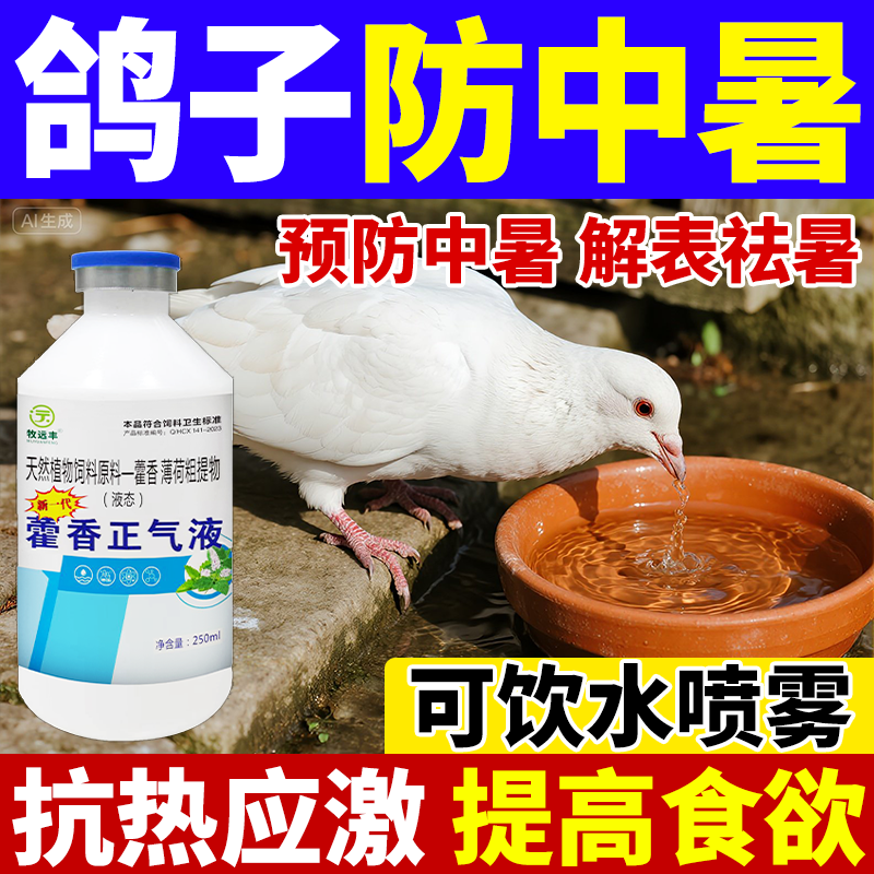 鸽子防中暑兽用藿香正气液水清热解暑藿香水口服液养殖场通用正品