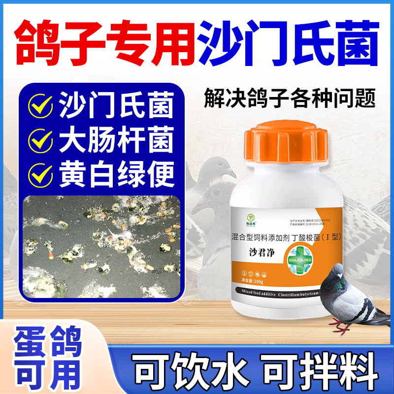 鸽药沙门氏菌专用正品特效赛鸽信鸽绿便糊肛翅膀下垂用品大全