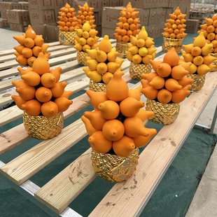 成品黄金果福禄果五代同堂果供佛果年宵花新年客厅盆景长寿果鲜果