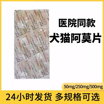 医院专供阿莫片宠物消炎