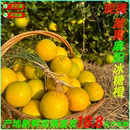 正宗湖南麻阳冰糖橙老品种一号冰糖柑不打蜡不泡澡现摘直发