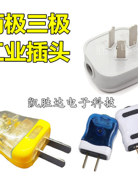 防爆10A三插单相10A电源插头固定旋转二极2项二脚插电源工业插头
