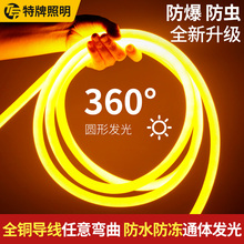 圆形灯带led霓虹柔性360度软管户外防水招牌线条吊顶氛围灯带