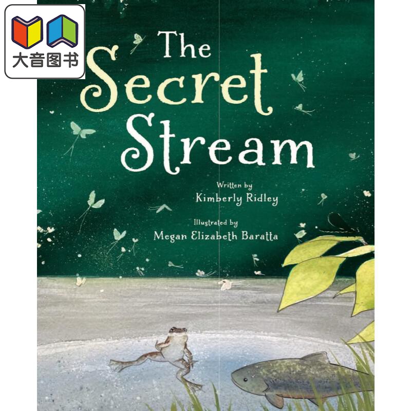 The Secret Stream 秘密溪流 英文原版 进口图书 儿童自然绘本 科学百科知识图画书 儿童科普读物 精装 精品绘本 大音