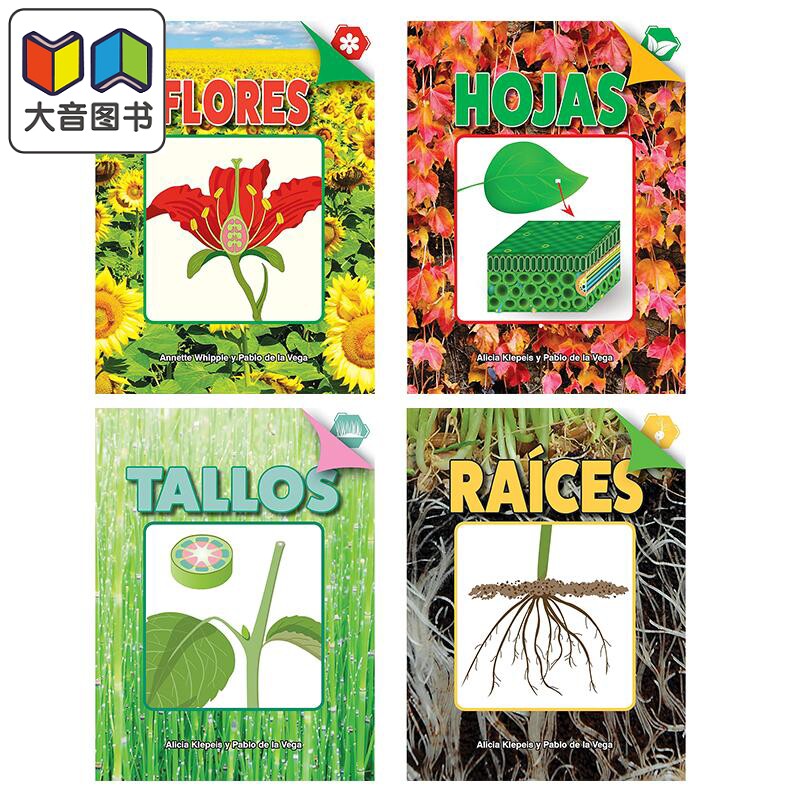 Spanish Science Readers 西班牙语少儿科普读物 植物系列4册套装 2-4年级 7-10岁 花朵Flores 叶Hojas 根Raíces 茎Tallos ?
