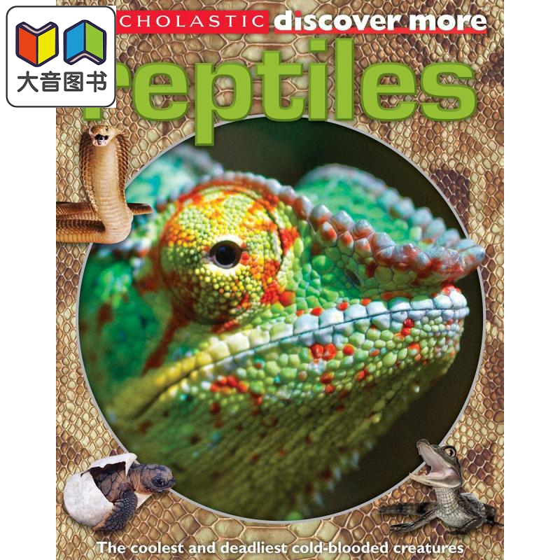 学乐大发现 两栖动物 Scholastic Discover More Reptiles 英文原版 儿童科普绘本 动物知识百科图画书 动物科学 大音