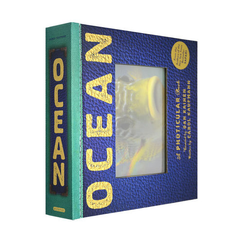 光与影视觉书系列 海洋 英文原版 会动的3D图片立体绘本 Ocean A Photicular Book Dan Kainen 纽约时报畅销书