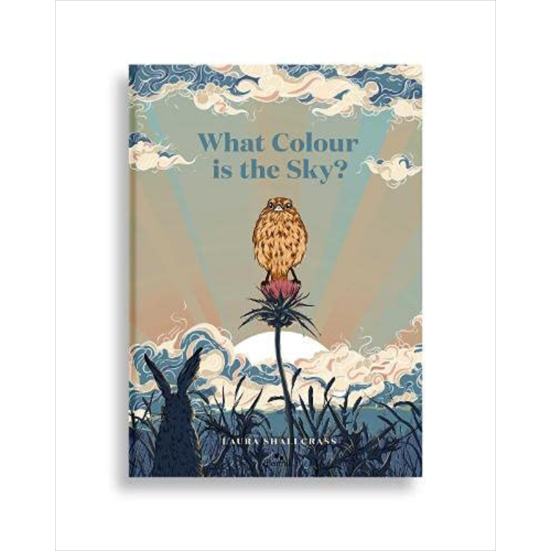 What Colour Is The Sky? 天空是什么颜色的?英文原版 进口原版 精装 5岁到8岁 儿童图画书 Laura Shallcrass 大音