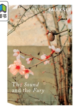 喧哗与骚动 英文原版The Sound and the Fury 福克纳 经典小说 美国文学 意识流 诺贝尔 William Faulk 大音