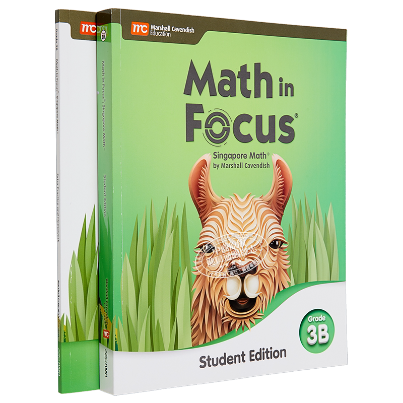 Math in Focus Grade 3B 焦点数学 三年级下册套装 学生书+课外练习作业本 英文原版 美国HMH教材 小学新加坡数学 大音