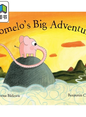 Benjamin Chaud Pomelos Big Adventure 柚子的大冒险 英文原版 进口图书 儿童绘本 故事图画书 4岁以上